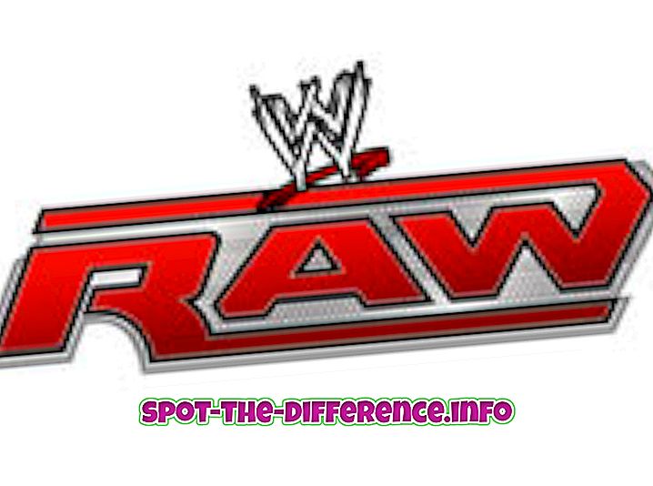 populära jämförelser: Skillnad mellan Raw och Smackdown