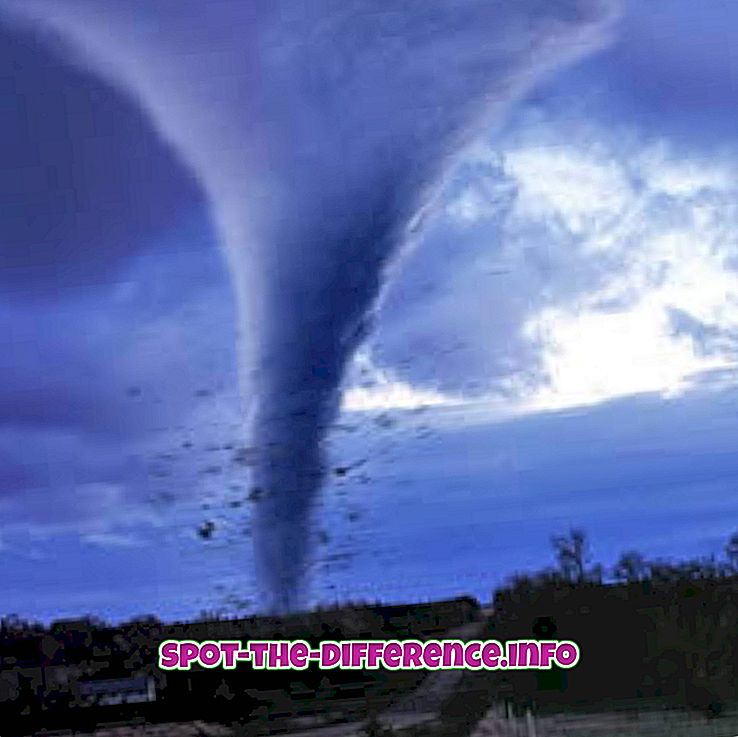 Skillnad mellan Twister och Tornado