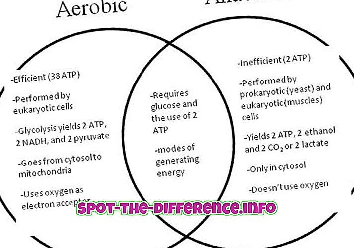 Diferencia entre la respiración aeróbica y anaeróbica