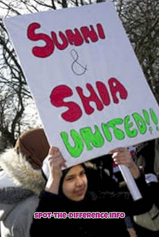 Sunniin ja shian muslimien välinen ero