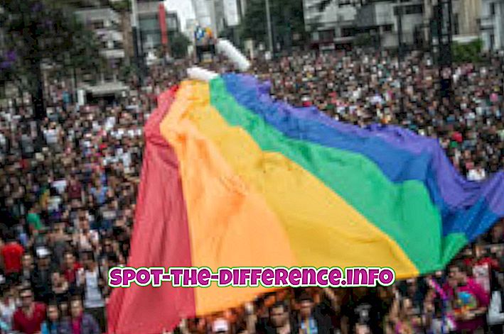 Rozdíl mezi Gay a Queer