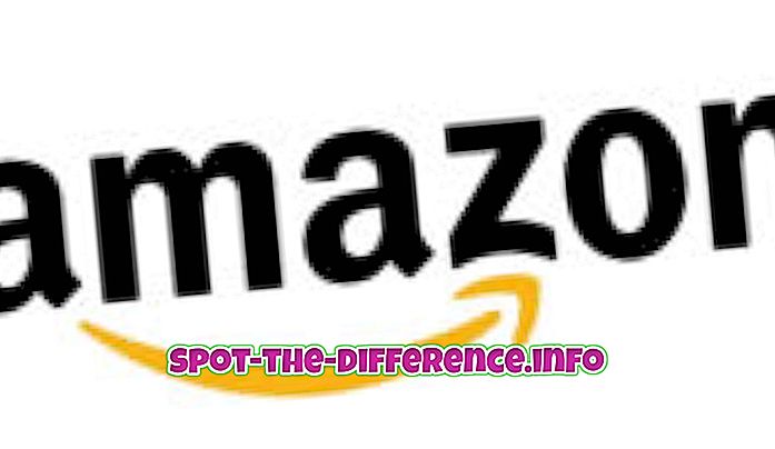 การเปรียบเทียบความนิยม: ความแตกต่างระหว่าง eBay กับ Amazon