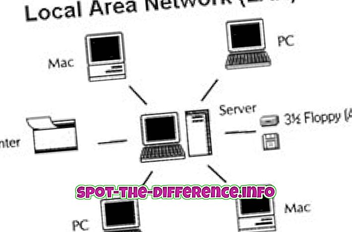 suosittuja vertailuja: LAN: n ja Ethernetin välinen ero