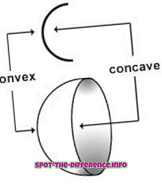 Unterschied zwischen konvexen und konkaven Kurven