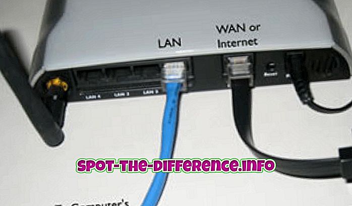 Skillnad mellan LAN och WAN-porten