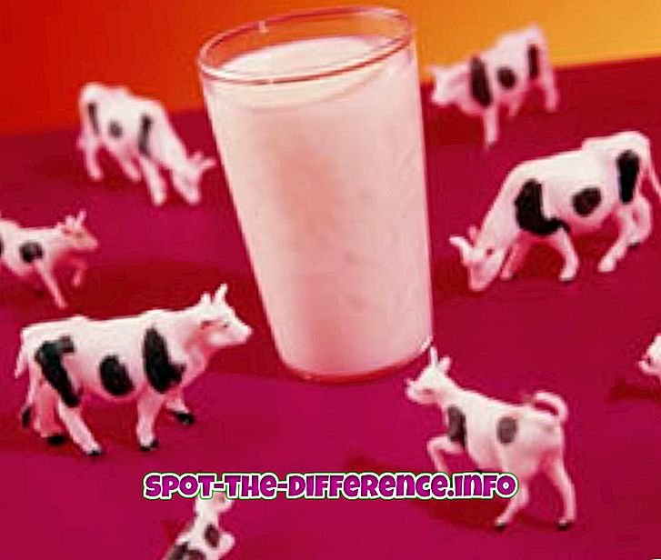 Razlika između mlijeka i sojinog mlijeka