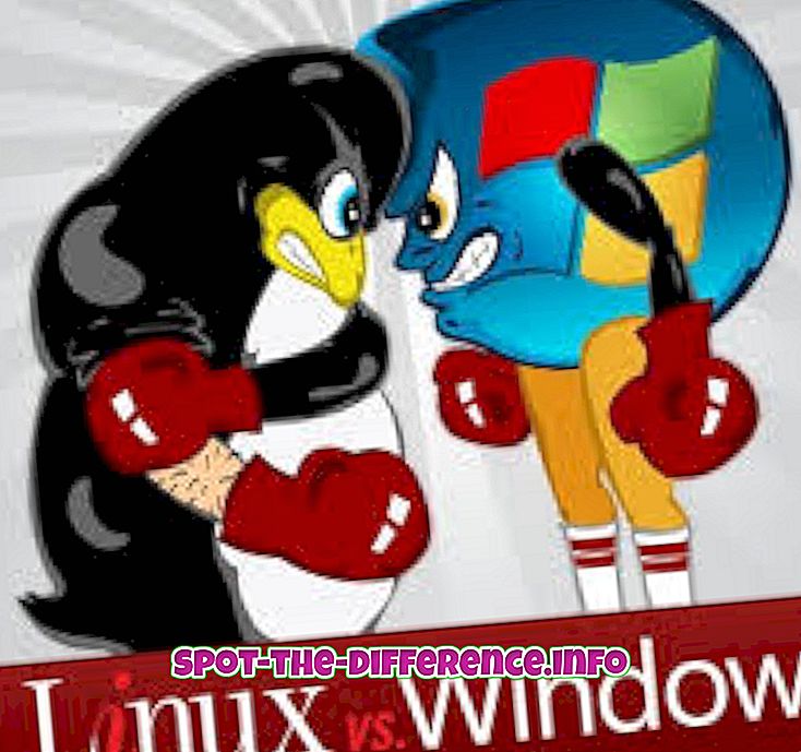 Razlika med Windows in Linux temelji Web Hosting
