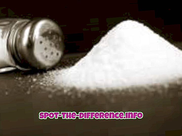 comparaisons populaires: Différence entre le sel de table et le sel casher
