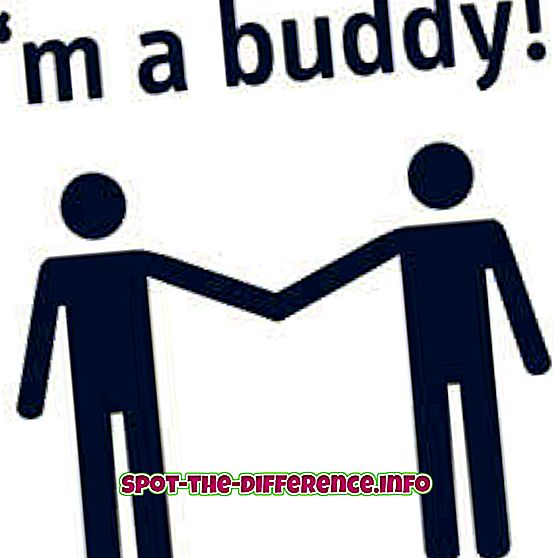 comparaciones populares: Diferencia entre Buddy y Dude