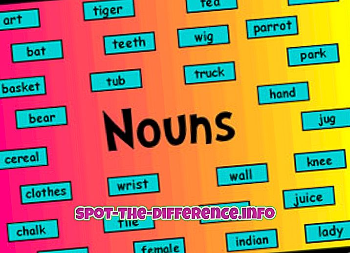 Forskel mellem Noun og Pronoun