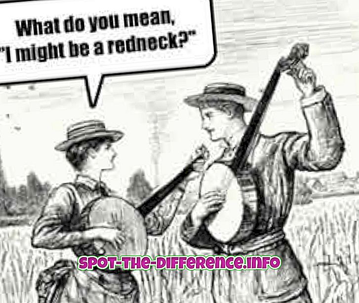 Perbedaan antara Redneck dan Hick
