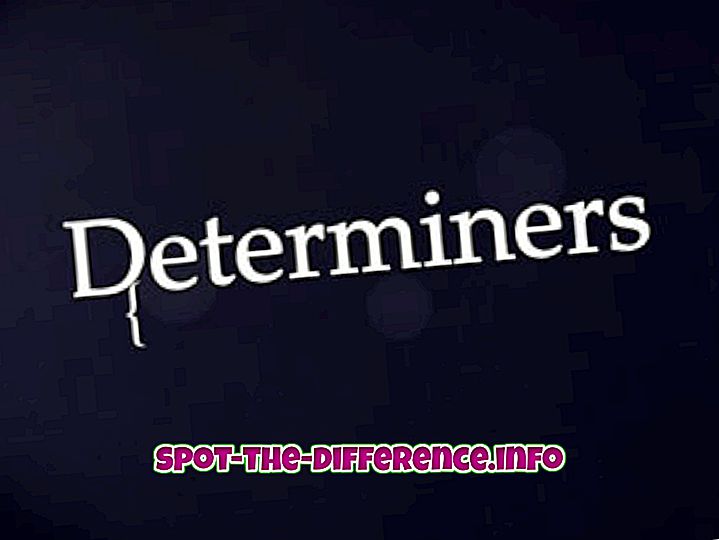 Rozdíl mezi Determinery a Pronouns