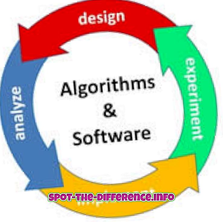 Unterschied zwischen Software Engineering und Informatik