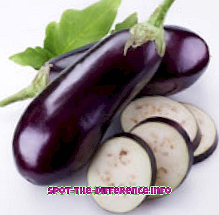 Forskel mellem hvide og lilla aubergine