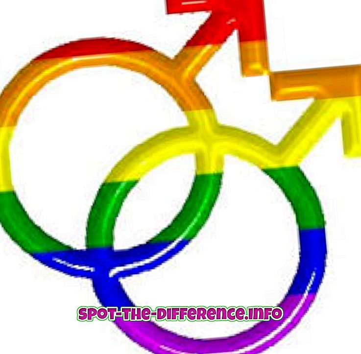 การเปรียบเทียบความนิยม: ความแตกต่างระหว่าง Gay และ Chakka