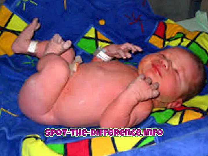 Perbedaan antara Bayi dan Bayi Baru Lahir