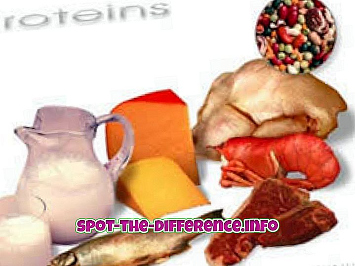 populære sammenligninger: Forskjellen mellom protein og fett