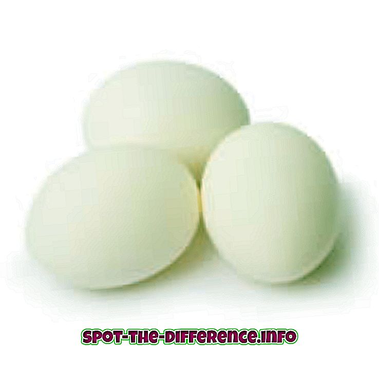 Razlika med belimi jajci in rjavimi jajci