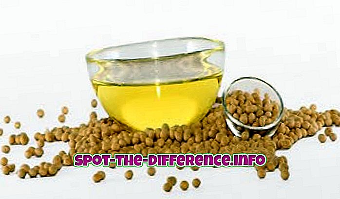 populární srovnání: Rozdíl mezi sójovým olejem a rostlinným olejem