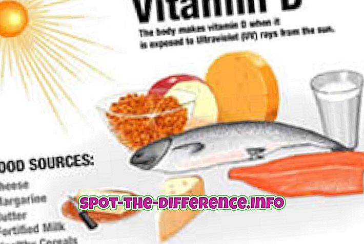 популарна поређења: Разлика између витамина Д и витамина Д3
