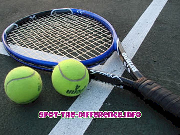 Forskel mellem racket og racquet