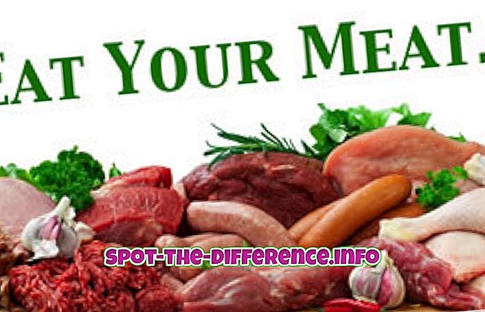 популярні порівняння: Різниця між м'ясом і яловичиною