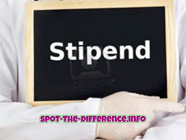 Sự khác biệt giữa học bổng và Stipend