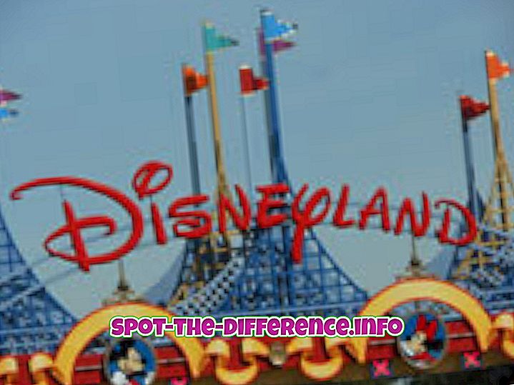 populární srovnání: Rozdíl mezi Walt Disney World a Disneyland