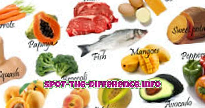 beliebte Vergleiche: Unterschied zwischen Vitaminen und Mineralien