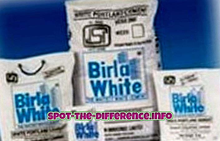ความแตกต่างระหว่าง Birla White Cement และ Birla Putty