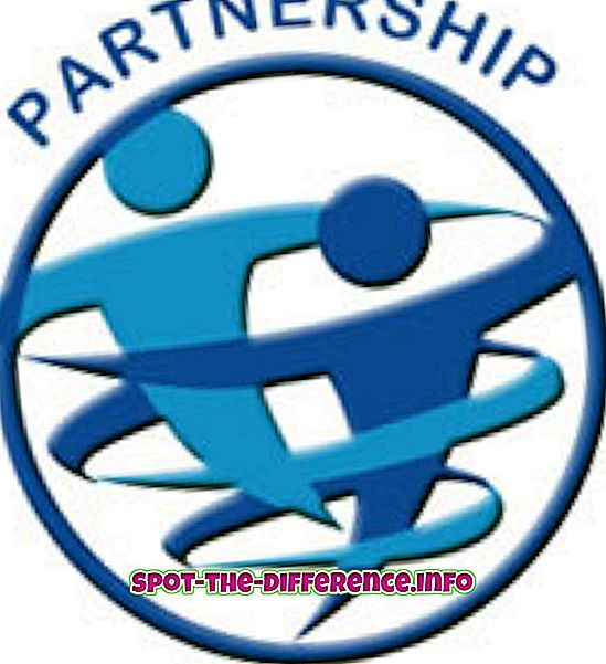 Rozdiel medzi spoločnosťou a partnerstvom